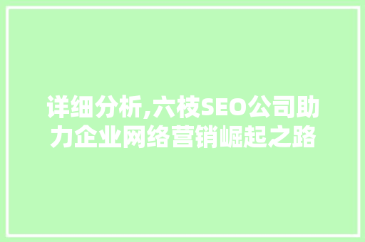 详细分析,六枝SEO公司助力企业网络营销崛起之路