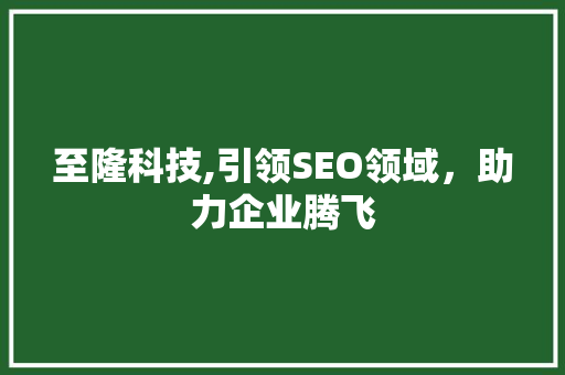 至隆科技,引领SEO领域，助力企业腾飞 百度SEO