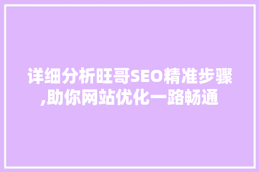 详细分析旺哥SEO精准步骤,助你网站优化一路畅通