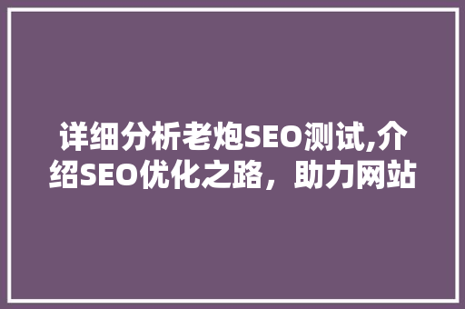 详细分析老炮SEO测试,介绍SEO优化之路，助力网站排名提升