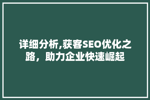 详细分析,获客SEO优化之路，助力企业快速崛起 网站建设公司
