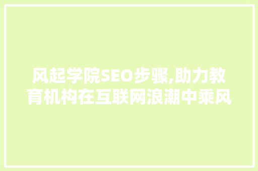 风起学院SEO步骤,助力教育机构在互联网浪潮中乘风破浪