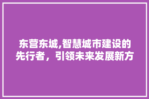 东营东城,智慧城市建设的先行者，引领未来发展新方向 必应SEO