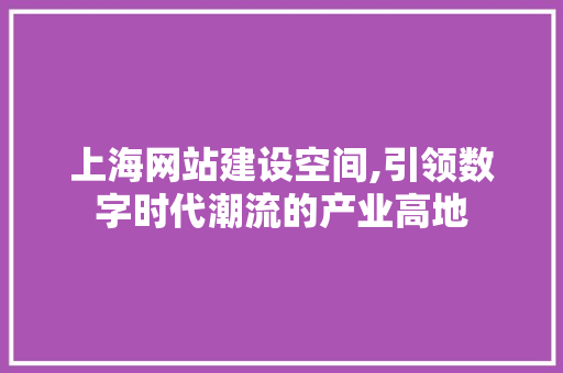 上海网站建设空间,引领数字时代潮流的产业高地 网站建设公司