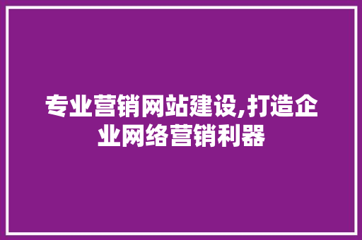 专业营销网站建设,打造企业网络营销利器 百度SEO