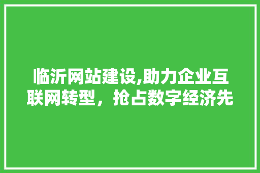 临沂网站建设,助力企业互联网转型，抢占数字经济先机 搜狗SEO