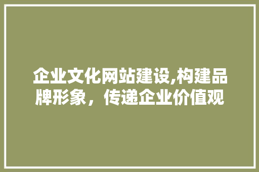 企业文化网站建设,构建品牌形象，传递企业价值观 必应SEO