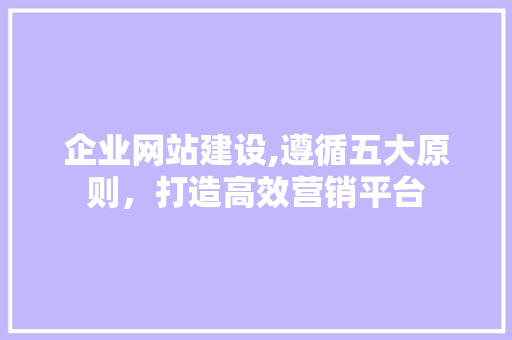 企业网站建设,遵循五大原则，打造高效营销平台 搜狗SEO