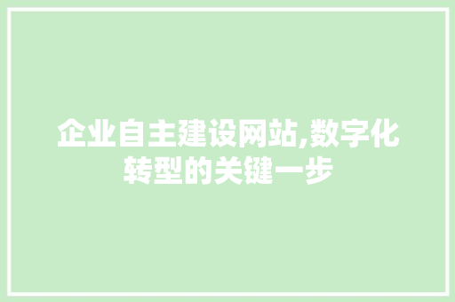 企业自主建设网站,数字化转型的关键一步 SEO关键词