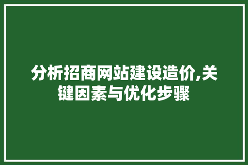 分析招商网站建设造价,关键因素与优化步骤 网站建设公司