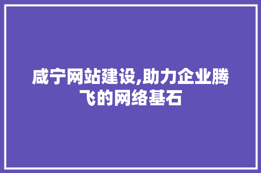 咸宁网站建设,助力企业腾飞的网络基石 神马SEO