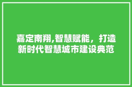 嘉定南翔,智慧赋能，打造新时代智慧城市建设典范 SEO关键词