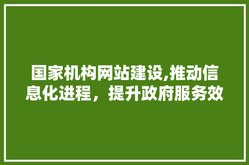 国家机构网站建设,推动信息化进程，提升政府服务效能