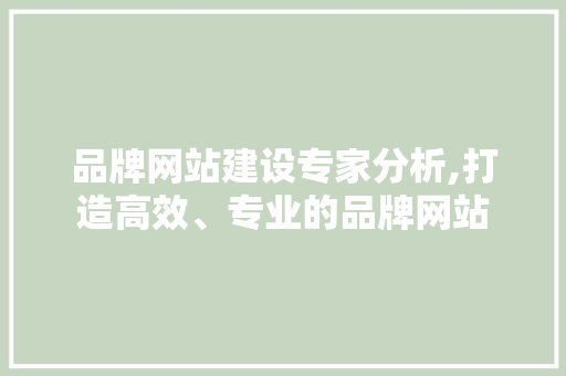 品牌网站建设专家分析,打造高效、专业的品牌网站 搜狗SEO