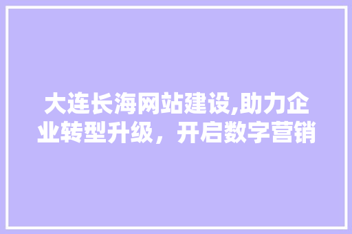 大连长海网站建设,助力企业转型升级，开启数字营销新篇章 必应SEO