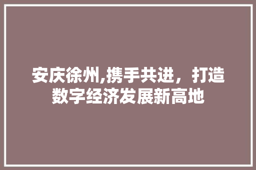 安庆徐州,携手共进，打造数字经济发展新高地