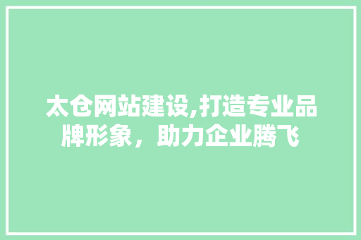 太仓网站建设,打造专业品牌形象，助力企业腾飞