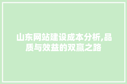 山东网站建设成本分析,品质与效益的双赢之路 网站建设公司