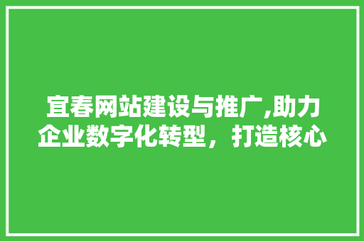 宜春网站建设与推广,助力企业数字化转型，打造核心竞争力 SEO关键词