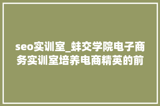 seo实训室_蚌交学院电子商务实训室培养电商精英的前沿平台 网站建设公司 seo实训室_蚌交学院电子商务实训室培养电商精英的前沿平台 seo实训室_蚌交学院电子商务实训室培养电商精英的前沿平台 网站建设公司