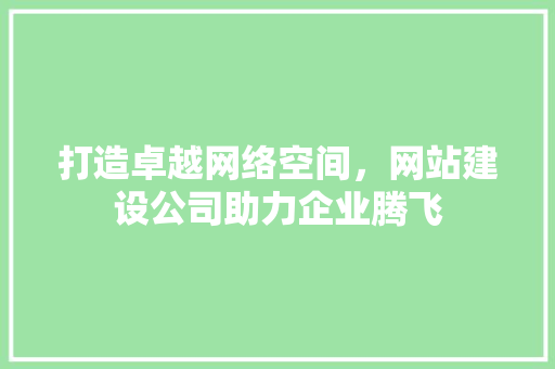 打造卓越网络空间，网站建设公司助力企业腾飞 网站建设公司
