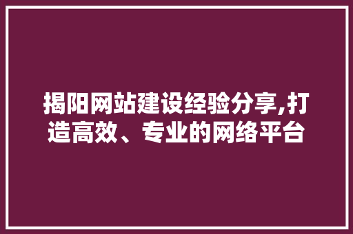 揭阳网站建设经验分享,打造高效、专业的网络平台 搜狗SEO