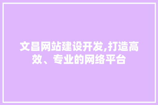 文昌网站建设开发,打造高效、专业的网络平台 百度SEO