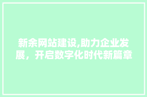 新余网站建设,助力企业发展，开启数字化时代新篇章 神马SEO