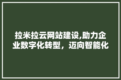拉米拉云网站建设,助力企业数字化转型，迈向智能化未来 百度SEO