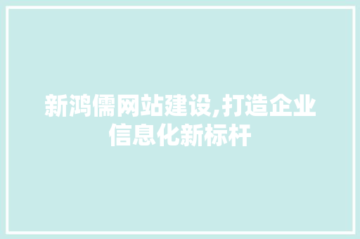 新鸿儒网站建设,打造企业信息化新标杆 搜狗SEO