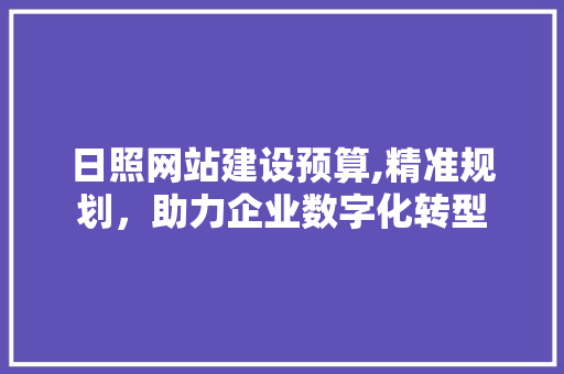 日照网站建设预算,精准规划，助力企业数字化转型 SEO关键词