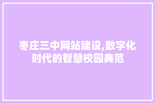 枣庄三中网站建设,数字化时代的智慧校园典范 网站建设公司