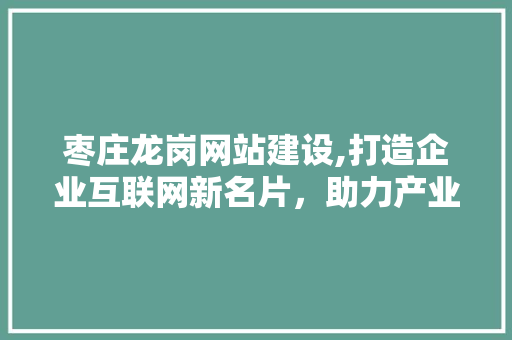 枣庄龙岗网站建设,打造企业互联网新名片，助力产业升级