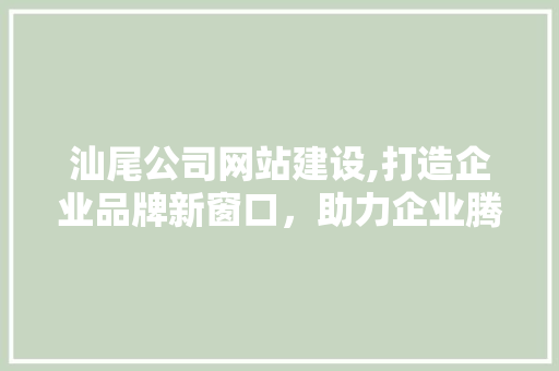 汕尾公司网站建设,打造企业品牌新窗口，助力企业腾飞 百度SEO