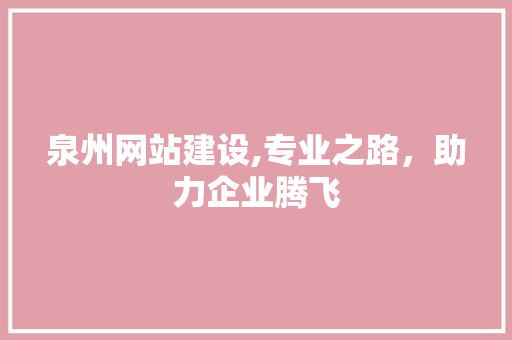 泉州网站建设,专业之路，助力企业腾飞 百度SEO