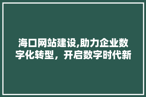 海口网站建设,助力企业数字化转型，开启数字时代新篇章 SEO关键词