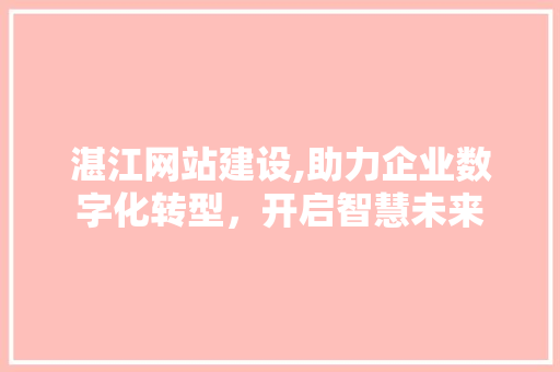 湛江网站建设,助力企业数字化转型，开启智慧未来 百度SEO