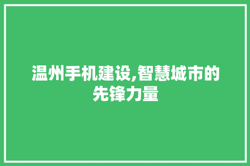 温州手机建设,智慧城市的先锋力量