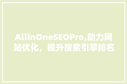 AllinOneSEOPro,助力网站优化，提升搜索引擎排名 必应SEO