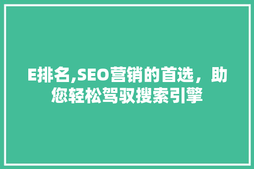 E排名,SEO营销的首选，助您轻松驾驭搜索引擎 必应SEO