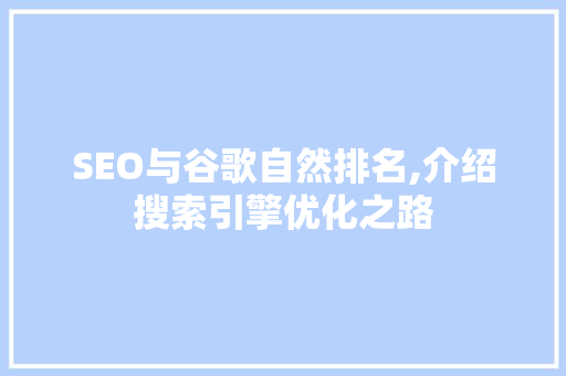 SEO与谷歌自然排名,介绍搜索引擎优化之路