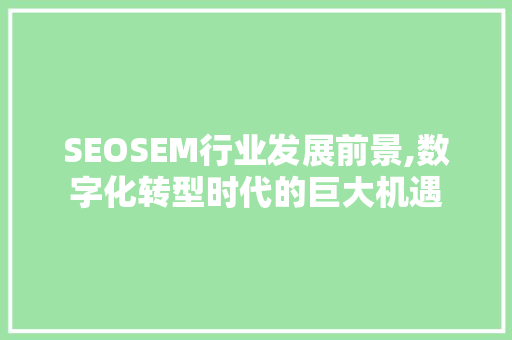 SEOSEM行业发展前景,数字化转型时代的巨大机遇 神马SEO
