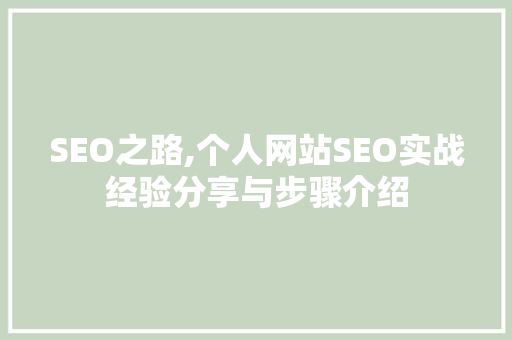 SEO之路,个人网站SEO实战经验分享与步骤介绍 百度SEO