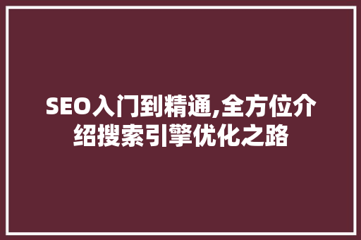 SEO入门到精通,全方位介绍搜索引擎优化之路 网站建设公司