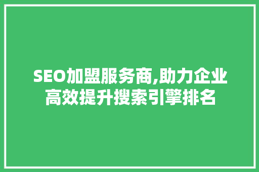 SEO加盟服务商,助力企业高效提升搜索引擎排名