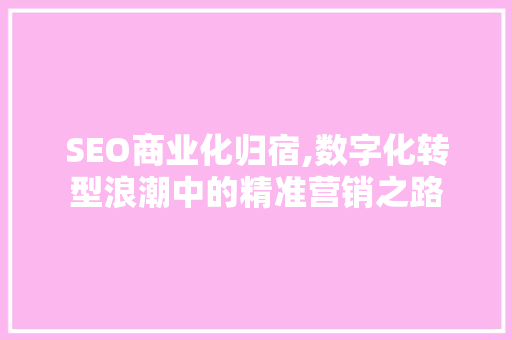 SEO商业化归宿,数字化转型浪潮中的精准营销之路