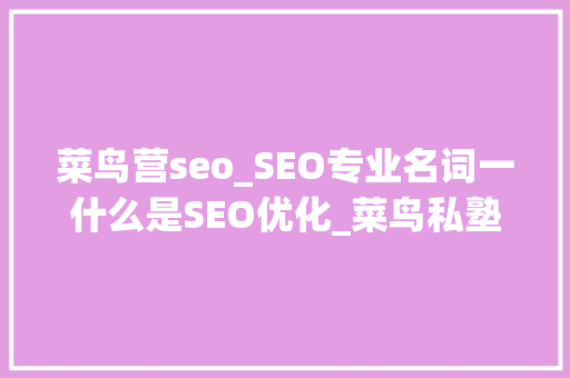 菜鸟营seo_SEO专业名词一什么是SEO优化_菜鸟私塾 菜鸟营seo_SEO专业名词一什么是SEO优化_菜鸟私塾 网站建设公司