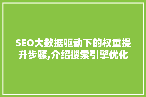 SEO大数据驱动下的权重提升步骤,介绍搜索引擎优化之路 必应SEO
