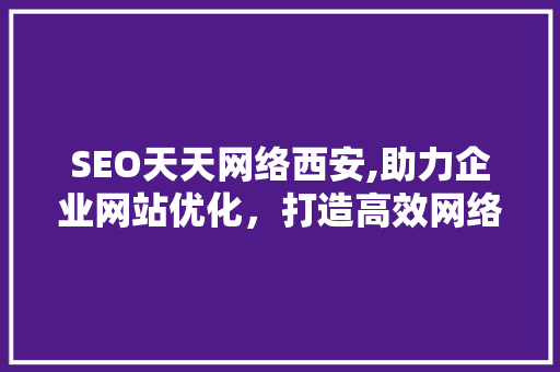 SEO天天网络西安,助力企业网站优化，打造高效网络营销步骤 神马SEO