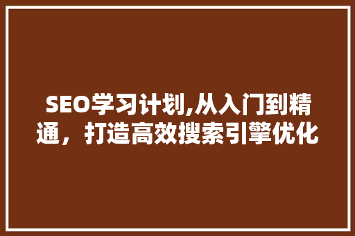 SEO学习计划,从入门到精通，打造高效搜索引擎优化步骤 SEO关键词